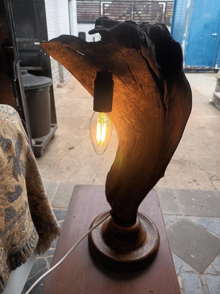 LAMPES RACINE, Enlèvement, Utilisé, Bois