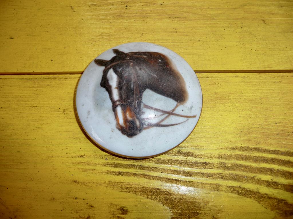 Paard medaillon, Ophalen of Verzenden, Gebruikt