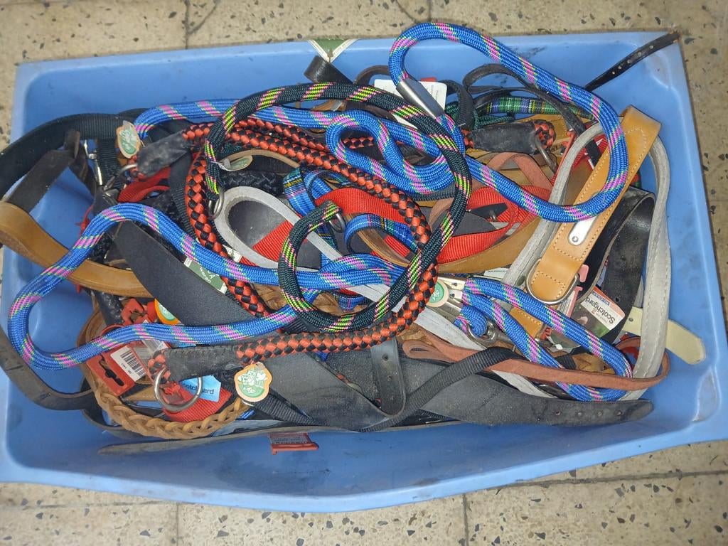 Nieuw honden materiaal, Ophalen