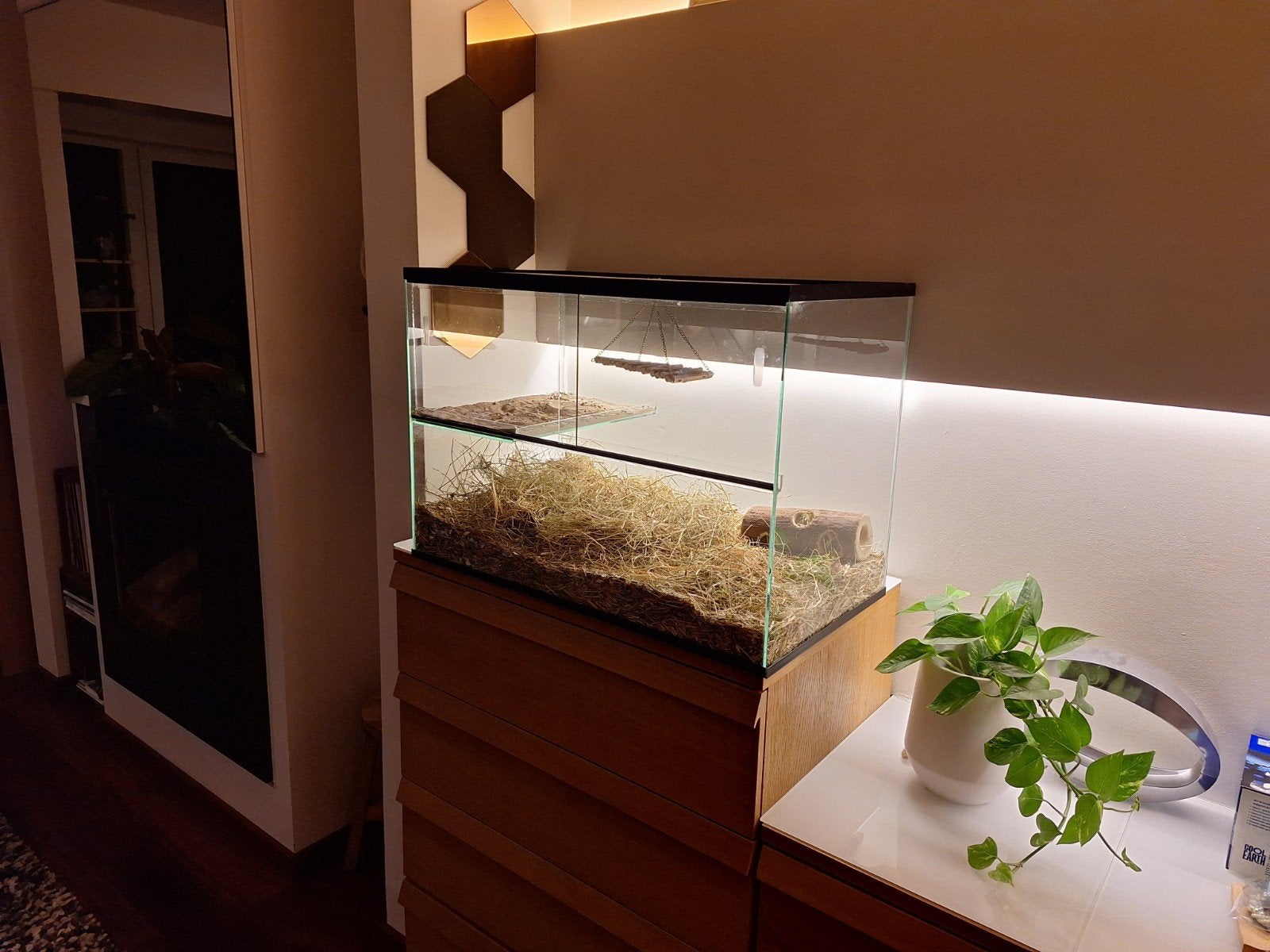 Glazen kooi voor knaagdieren, Animaux & Accessoires, Enlèvement, Utilisé, Terrarium ou Paludarium