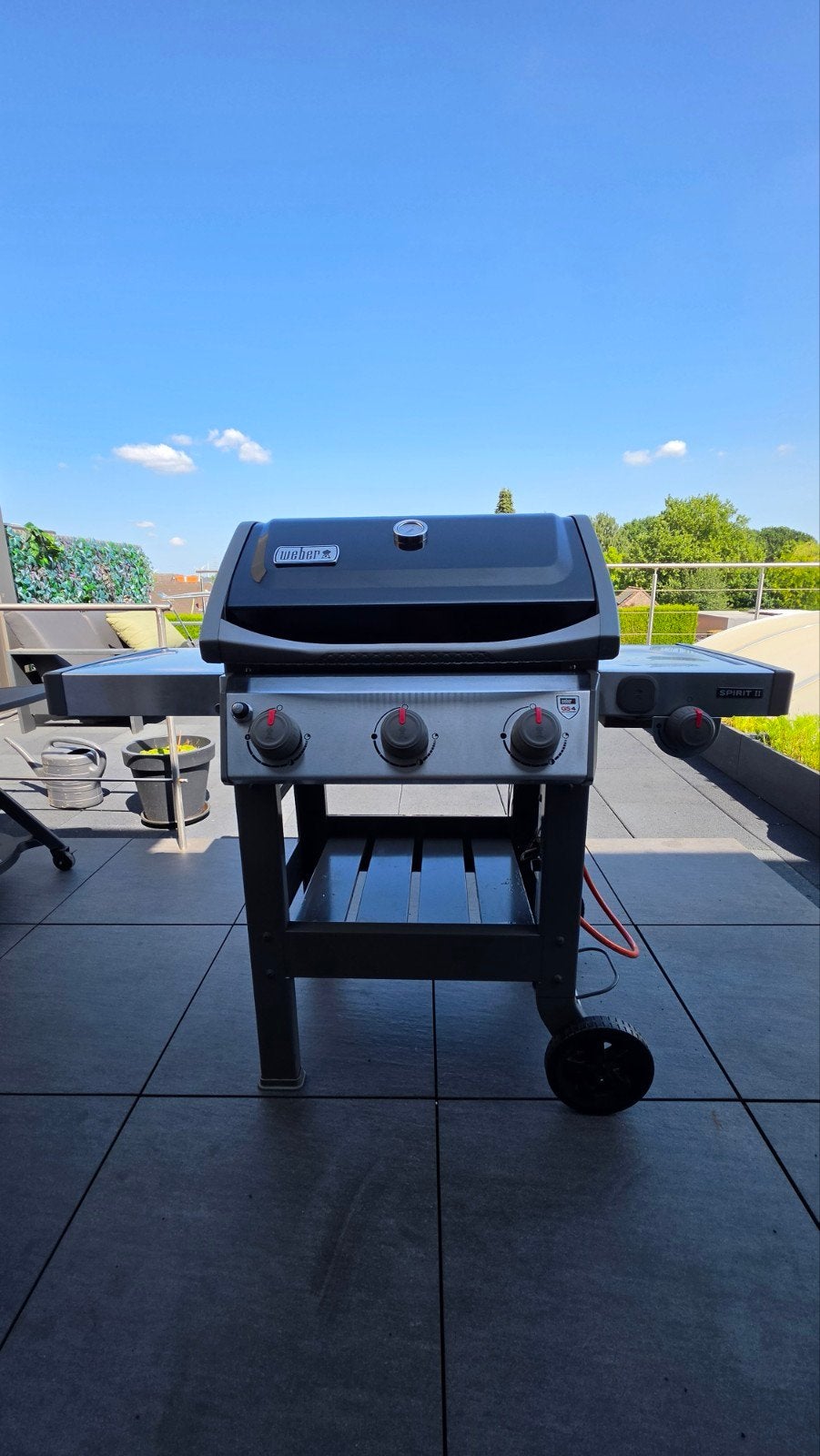 Weber Spirit II, Enlèvement