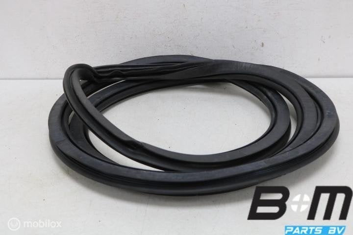 Portierrubber binnen links Audi RS3 8V FL SB 8V4831721A, Gebruikt