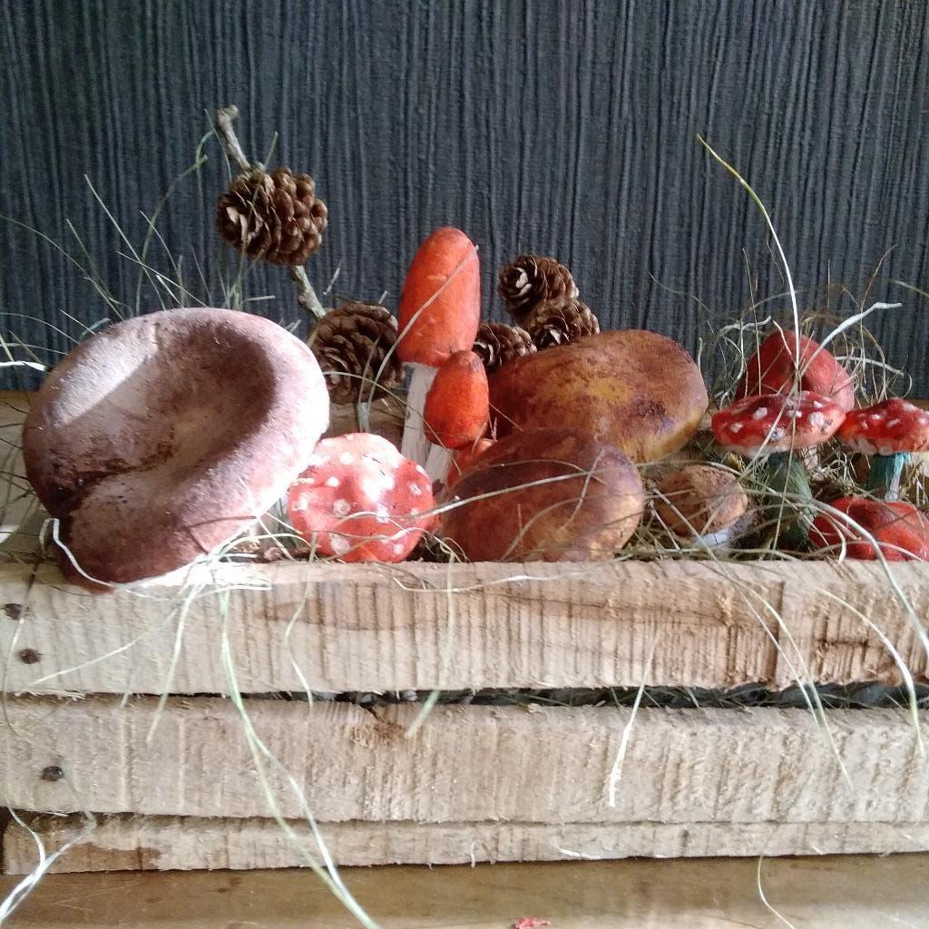 Champignons uniques en papier mâché dans une boîte en bois, Envoi