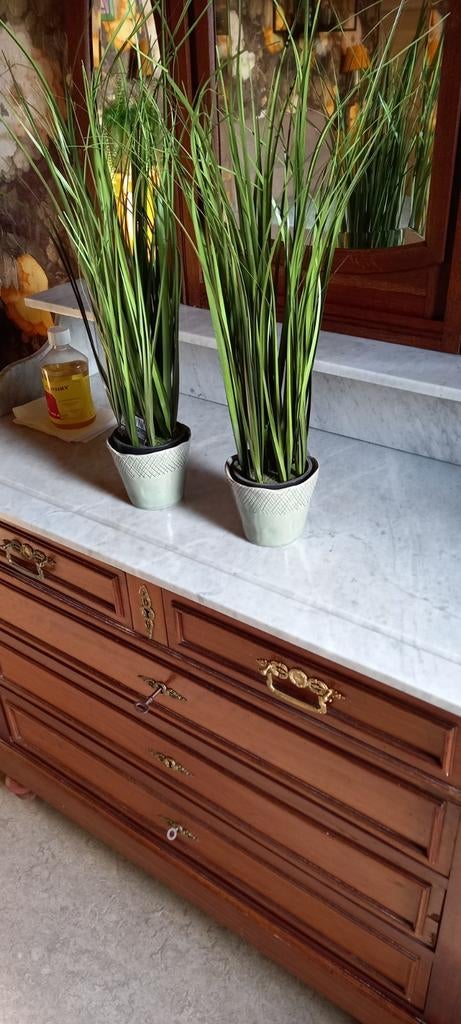 Kunststofplantjes in seraxpotjes, Enlèvement