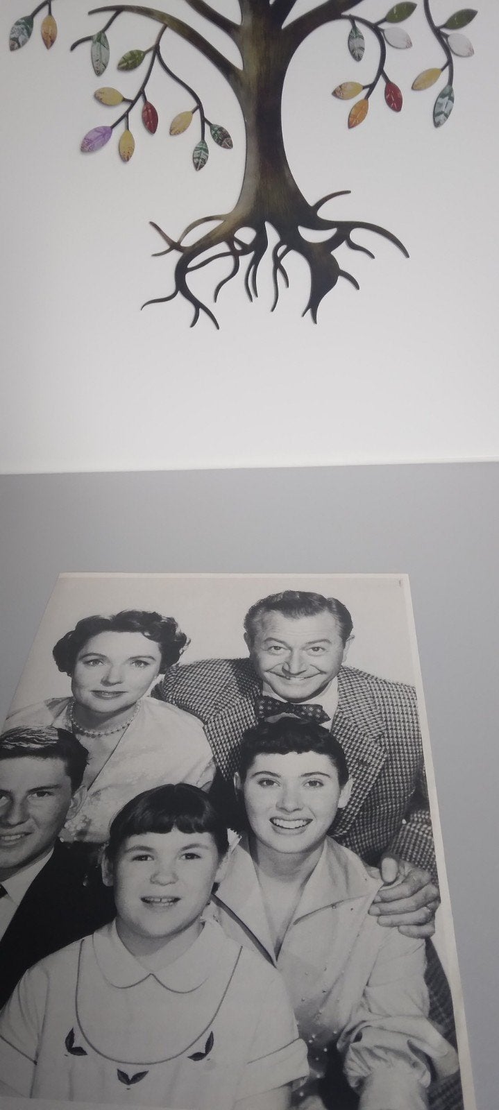Photo d'un magazine TV 60' 70', Verzamelen, Film en Tv, Verzenden, Zo goed als nieuw, Tv, Overige typen