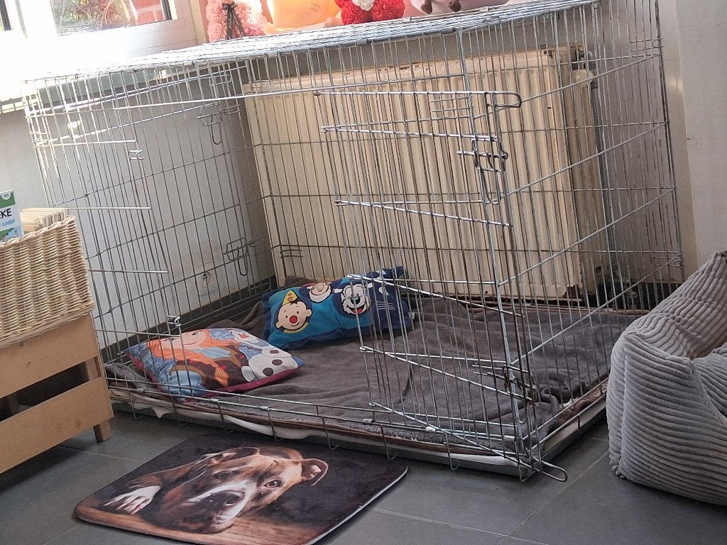 Honden bench, Dieren en Toebehoren, Ophalen