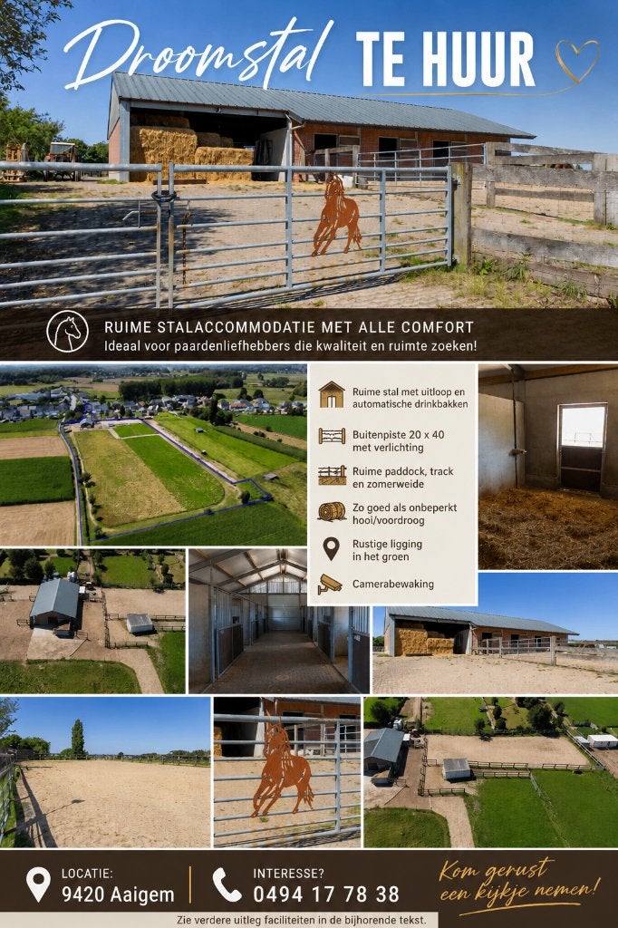 Stal vrij | 24/7 buiten | Welzijn centraal | Erpe-Mere, Weidegang, 1 paard of pony