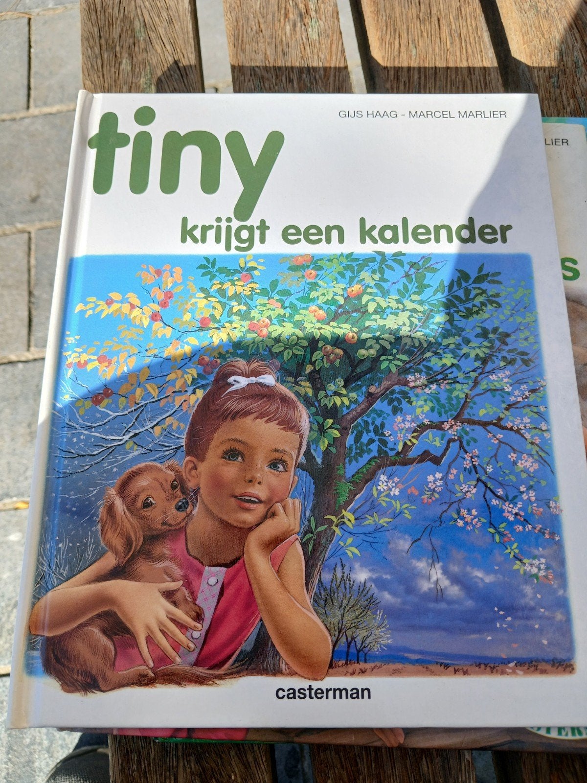 Haag - Tiny krygt een kalender, Enlèvement, Haag