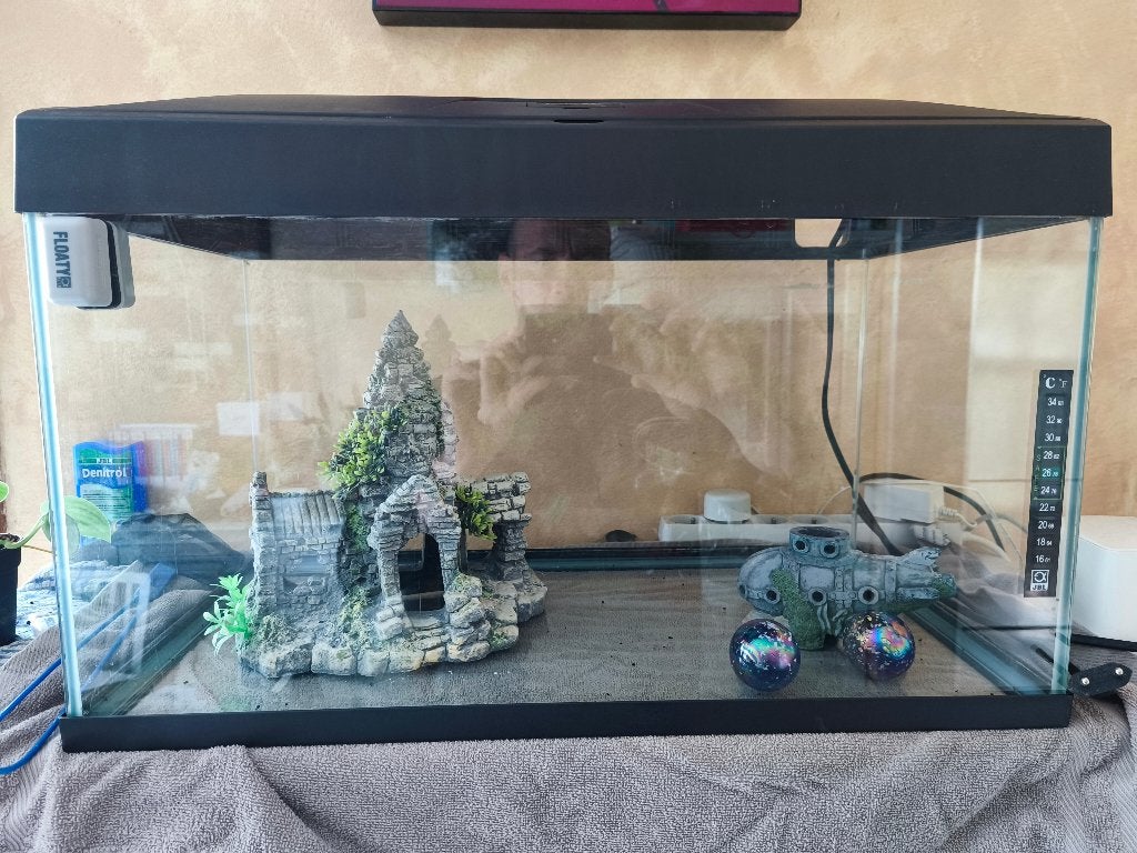 Aquarium complet 30  30  58 cm pompe Oase, chauffage, déco, Dieren en Toebehoren, Vissen | Aquaria en Toebehoren, Gebruikt, Pomp