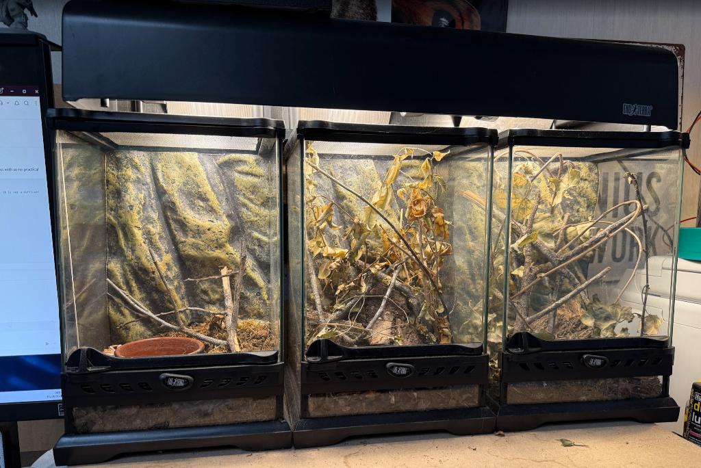 3x Exo Terra Nano, Enlèvement, Comme neuf, Terrarium ou Paludarium