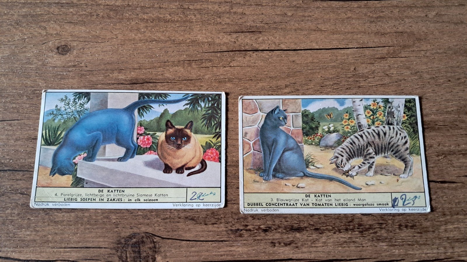 Liebeg de katten, Hobby & Loisirs créatifs, Cartes | Fabrication, Enlèvement ou Envoi