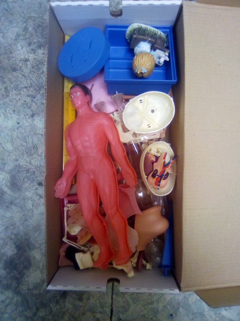 Vend jouet ancien sur le corps humain et l'anatomie, Enlèvement ou Envoi, Utilisé