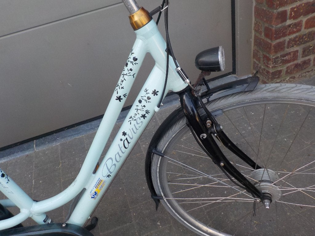Damesfiets Batavus, Fietsen en Brommers, Fietsen | Dames | Damesfietsen, 47 tot 50 cm, Ophalen, Batavus, Versnellingen