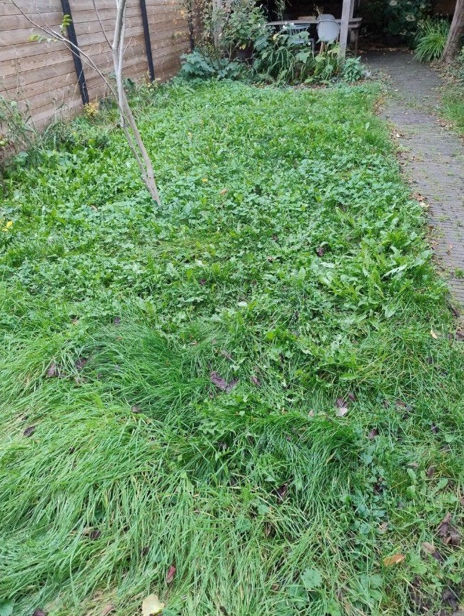 gratis grond, Tuin en Terras, Ophalen, Tuinaarde