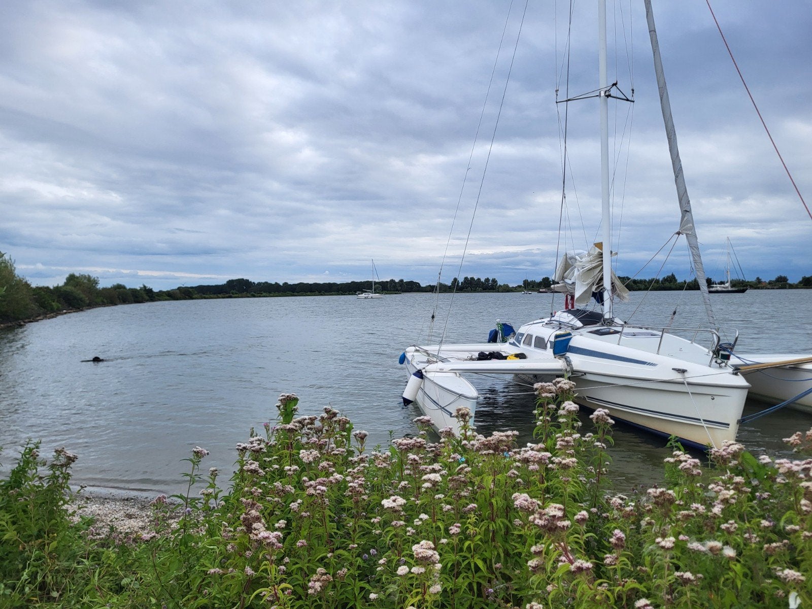 Dragonfly 920 trimaran compleet met wegtrailer, Watersport en Boten, Catamarans, Ophalen of Verzenden