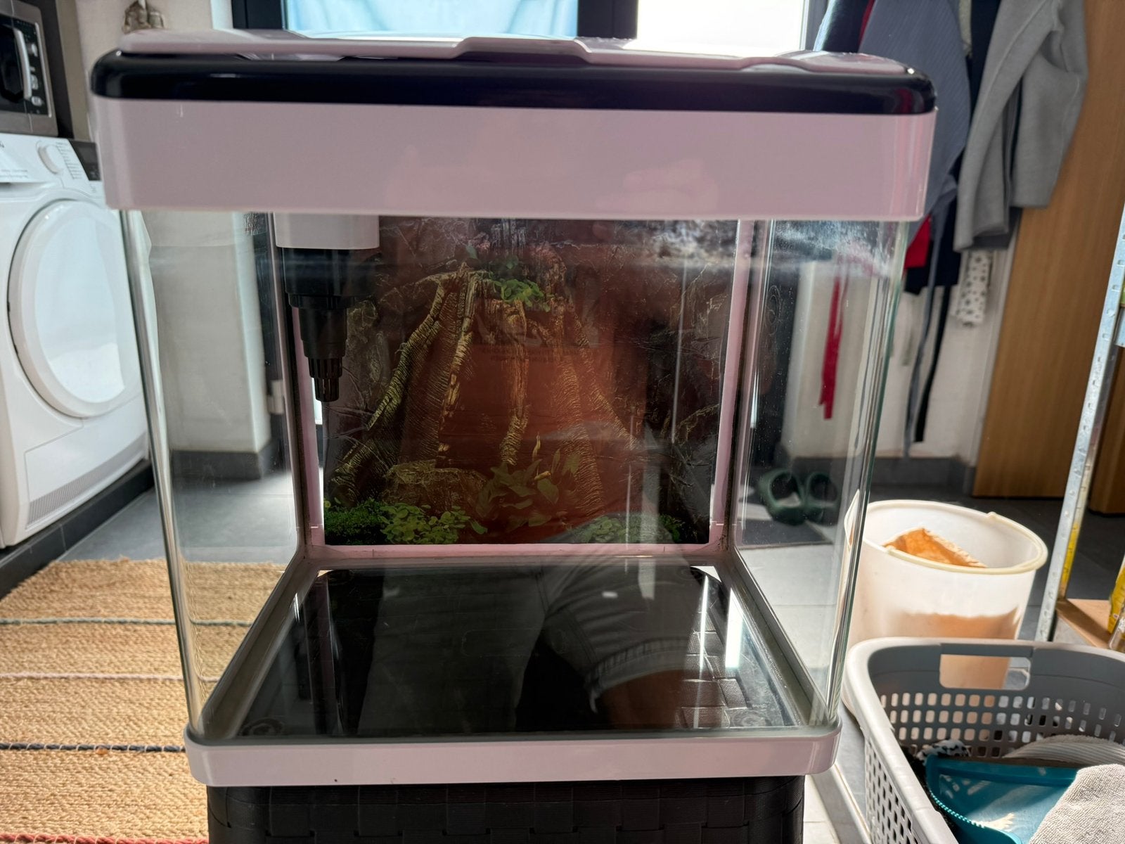 Aquarium Superfish Panorama (20 liter), Aquarium vide, Enlèvement, Utilisé, Superfish