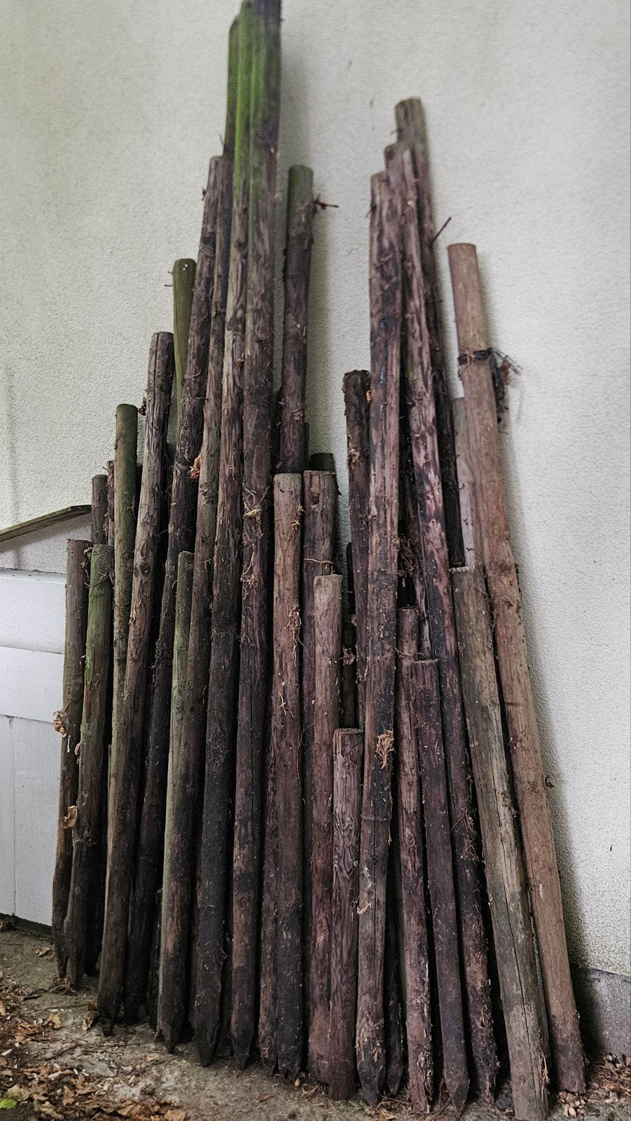 Gratis houten weidepalen / afrasteringspalen, Ophalen, Palen