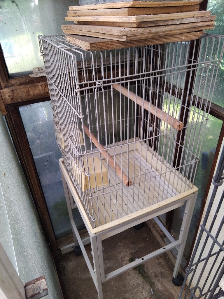 Cage sur pied a roulettes, Enlèvement, Utilisé, Métal, Cage à oiseaux