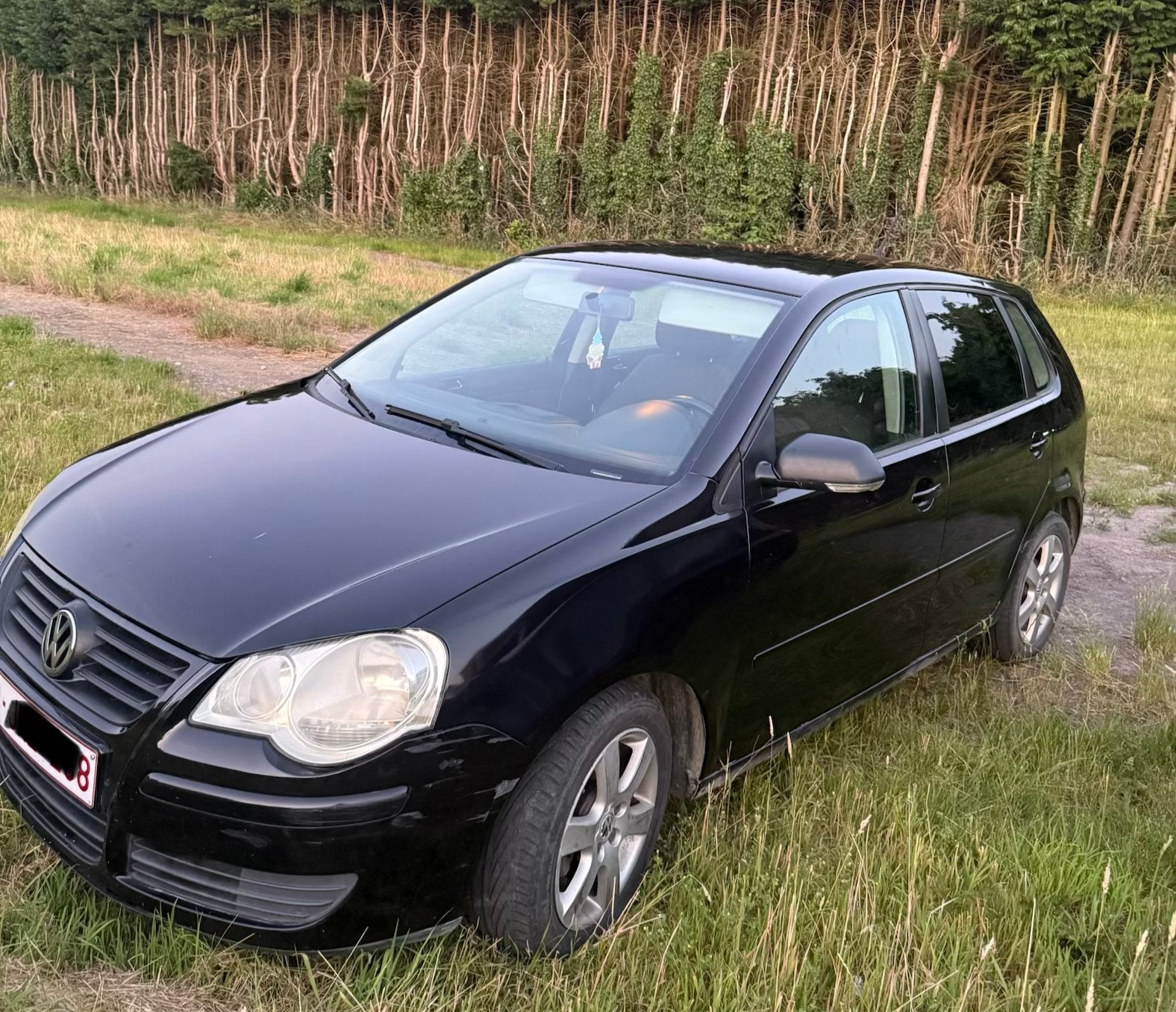 Polo 9n3, Autos, Particulier, Achat, Polo