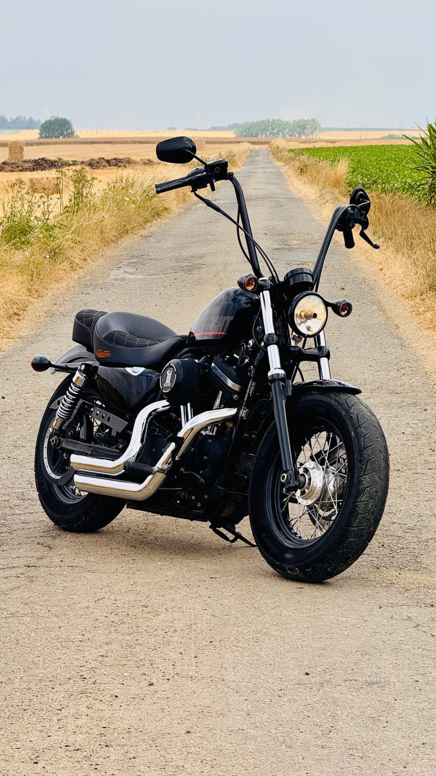 Harley-Davidson Sportster 1200 Forty Eight 2013, Motos, Permis Moto A, Occasion, Plus de 35 kW, 2 cylindres