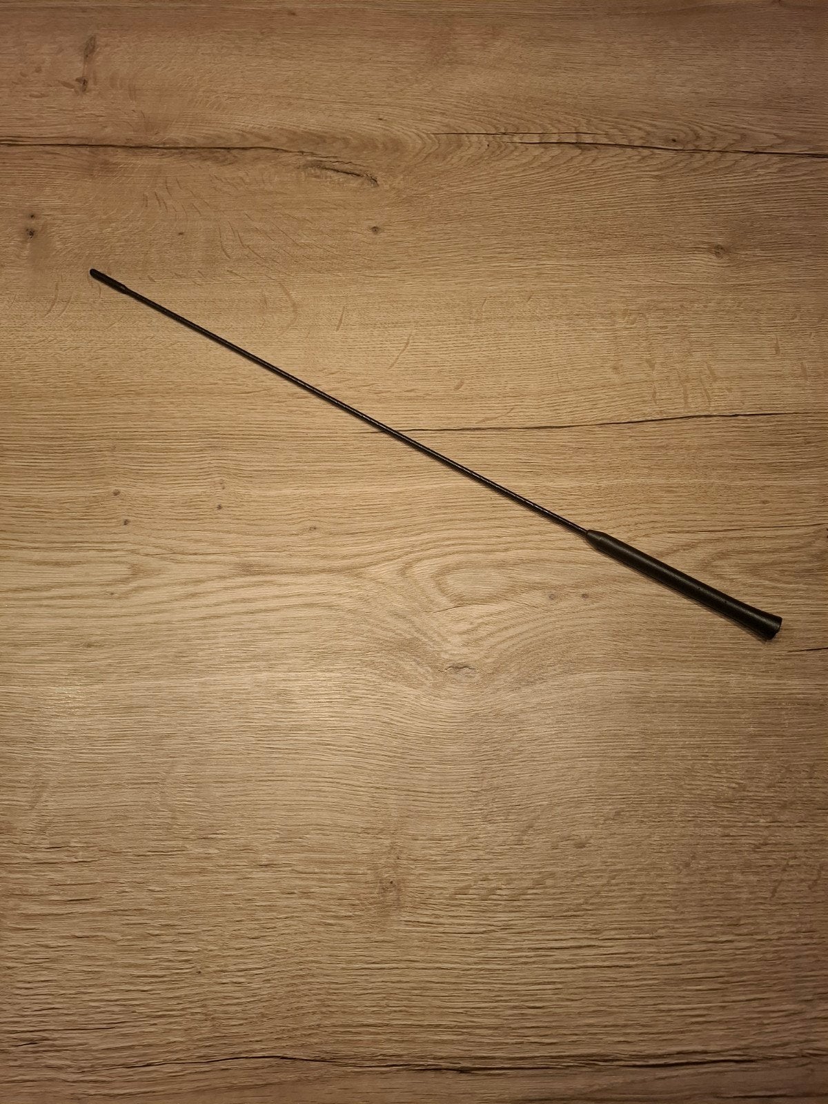 Lange radio antenne Ford Focus RS mk2, Ophalen of Verzenden, Nieuw, Ford