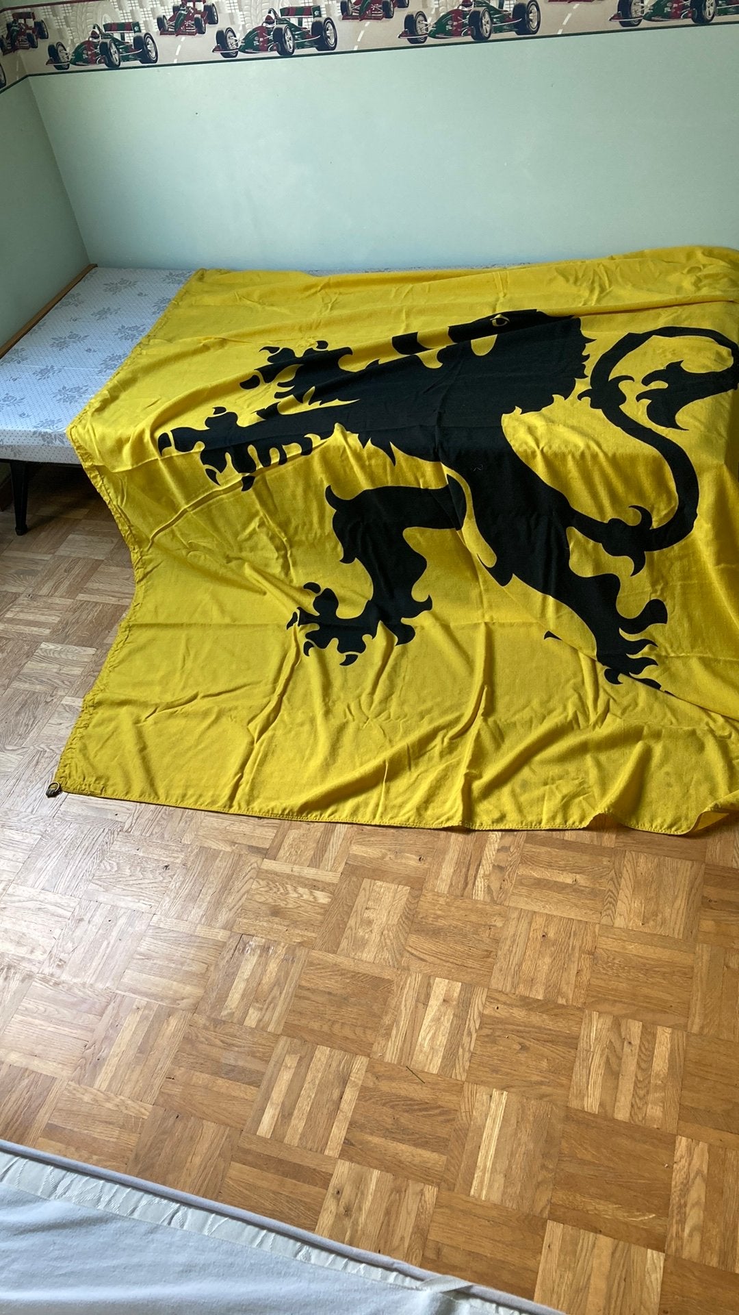 Vlag Vlaamse Leeuw, Ophalen, Gebruikt