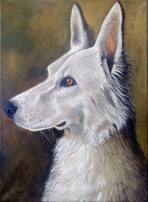 Schilderij Gary Wakeham - Young White German Shepherd, Ophalen of Verzenden, Zo goed als nieuw