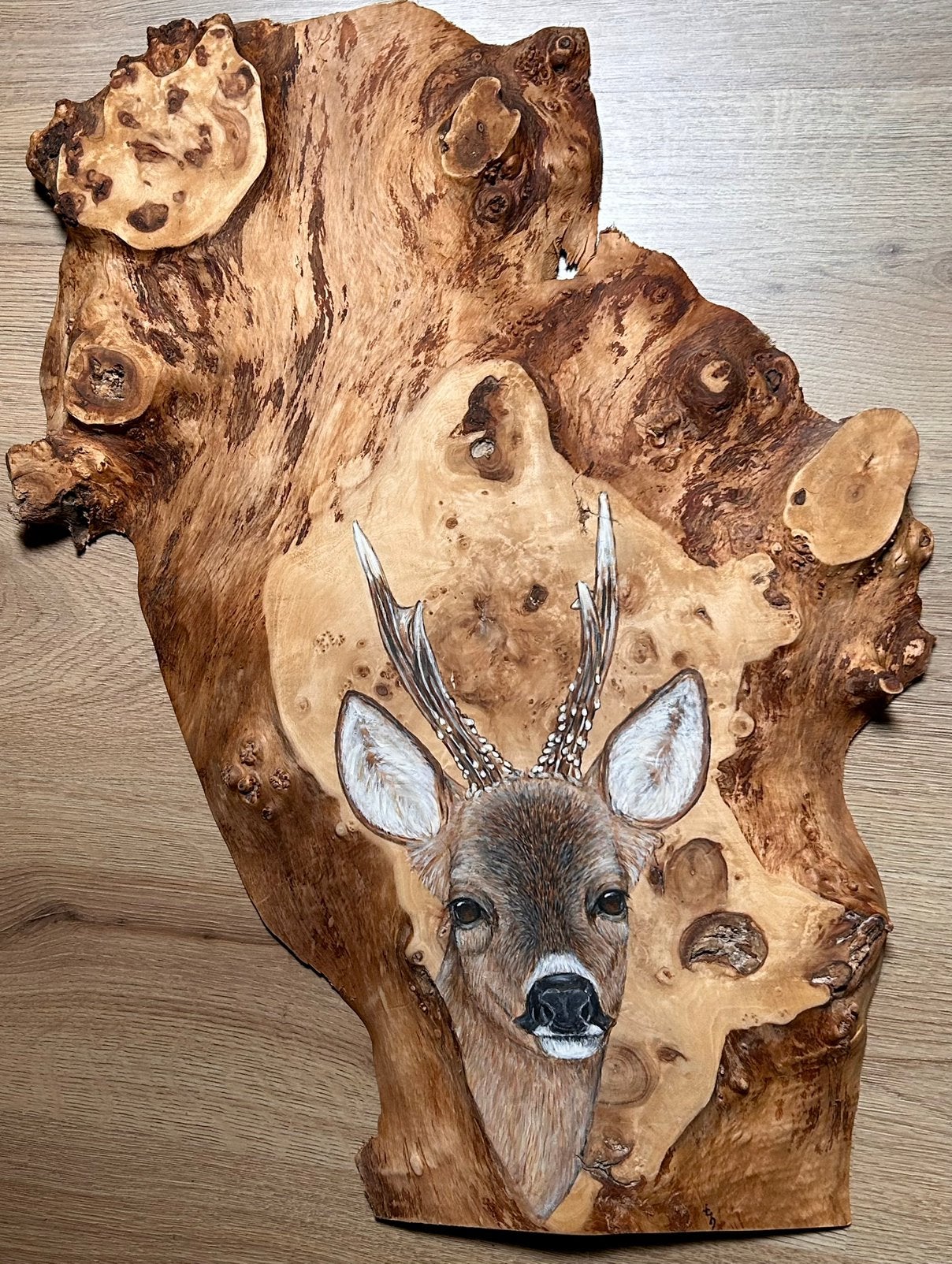Unieke kunstwerken op hout geschilderd!, Antiek en Kunst, Realistisch, Overige ondergronden, Dieren, Ophalen of Verzenden