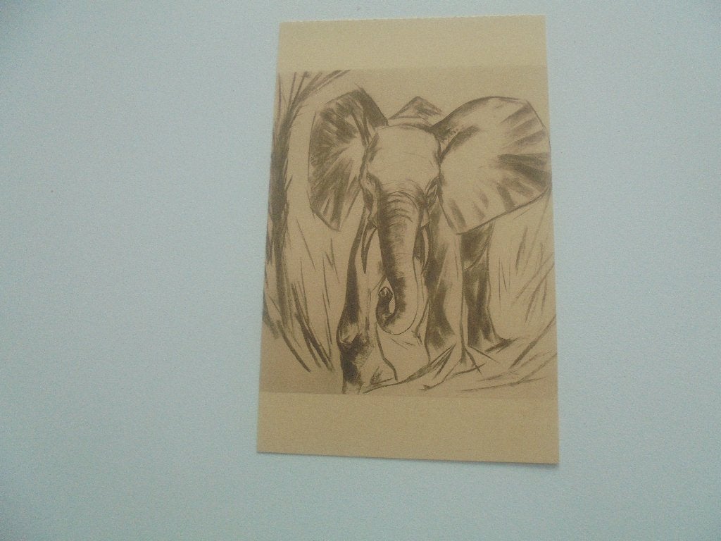 kongo- eléphant en brousse, Ophalen of Verzenden, 1920 tot 1940, Ongelopen, Buiten Europa