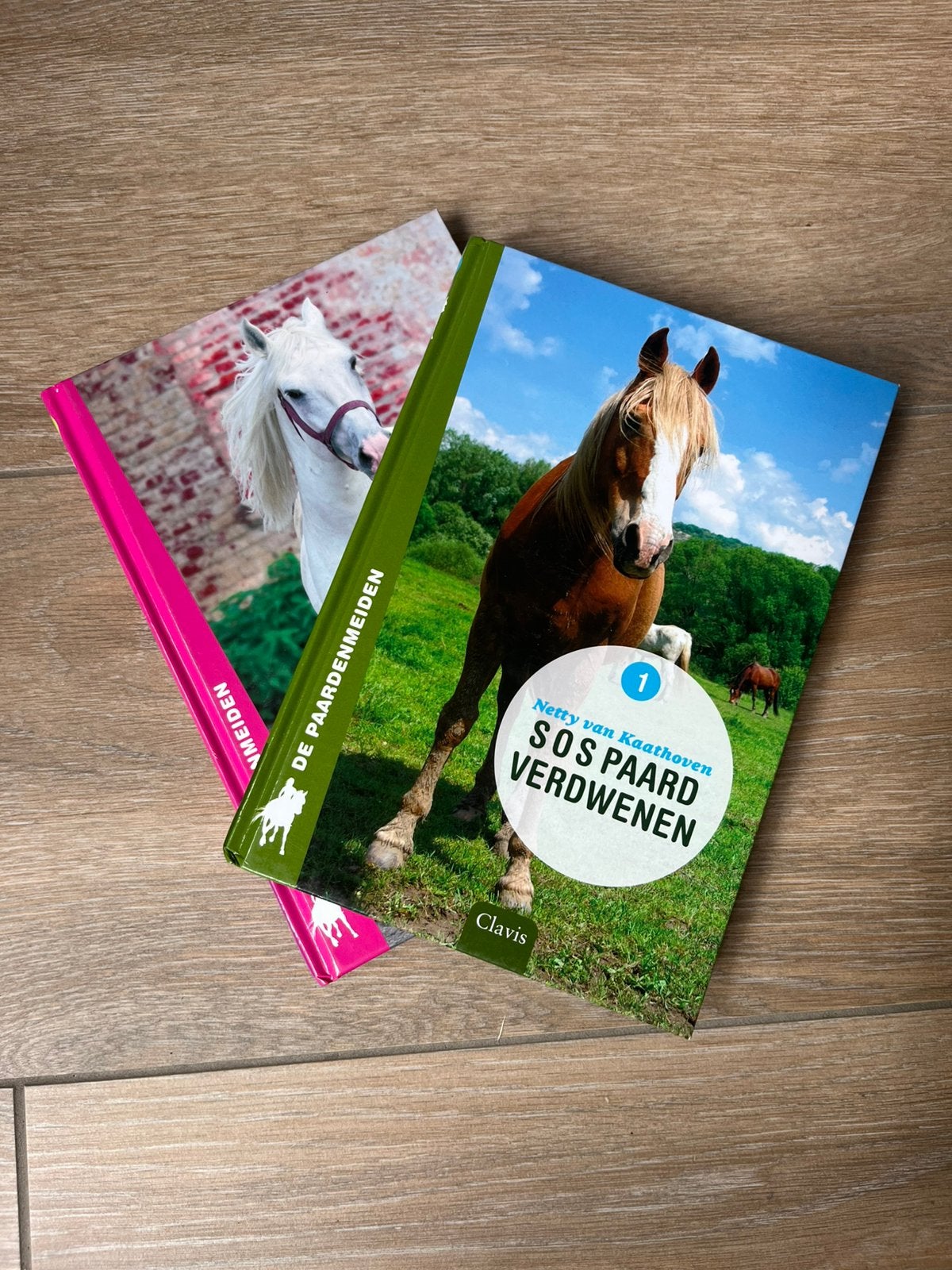 2 boeken - S.O.S. paard verdwenen, Ophalen, Netty van Kaathoven, Zo goed als nieuw, Fictie