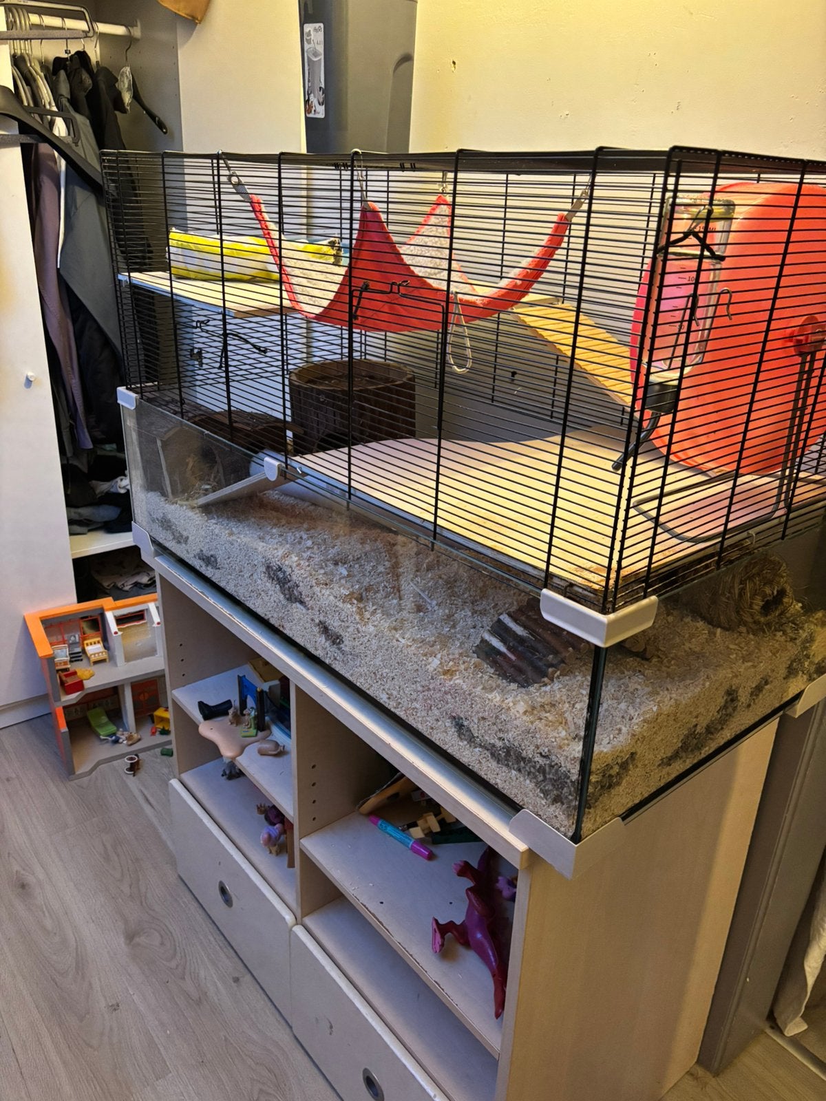 Knaagdieren kooi met 2 ratten, Ophalen, Kooi, 60 tot 90 cm, Zo goed als nieuw