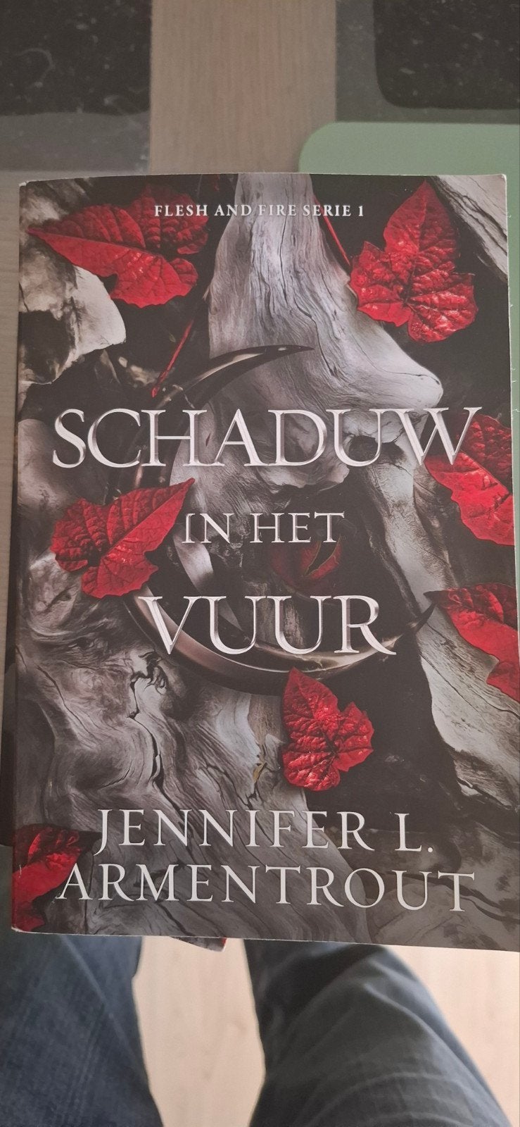 Jennifer L. Armentrout - Schaduw in het vuur, Livres, Enlèvement ou Envoi, Jennifer L. Armentrout