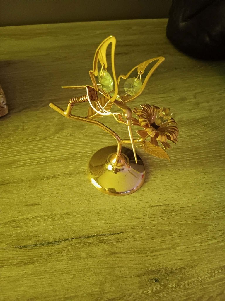COLIBRI, Verzamelen, Ophalen