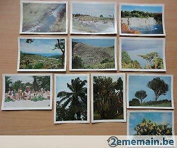 66 foto's faunaflor Congo (côte d'or) afbeeldingen prentjes, Verzamelen, Ophalen of Verzenden, Nieuw