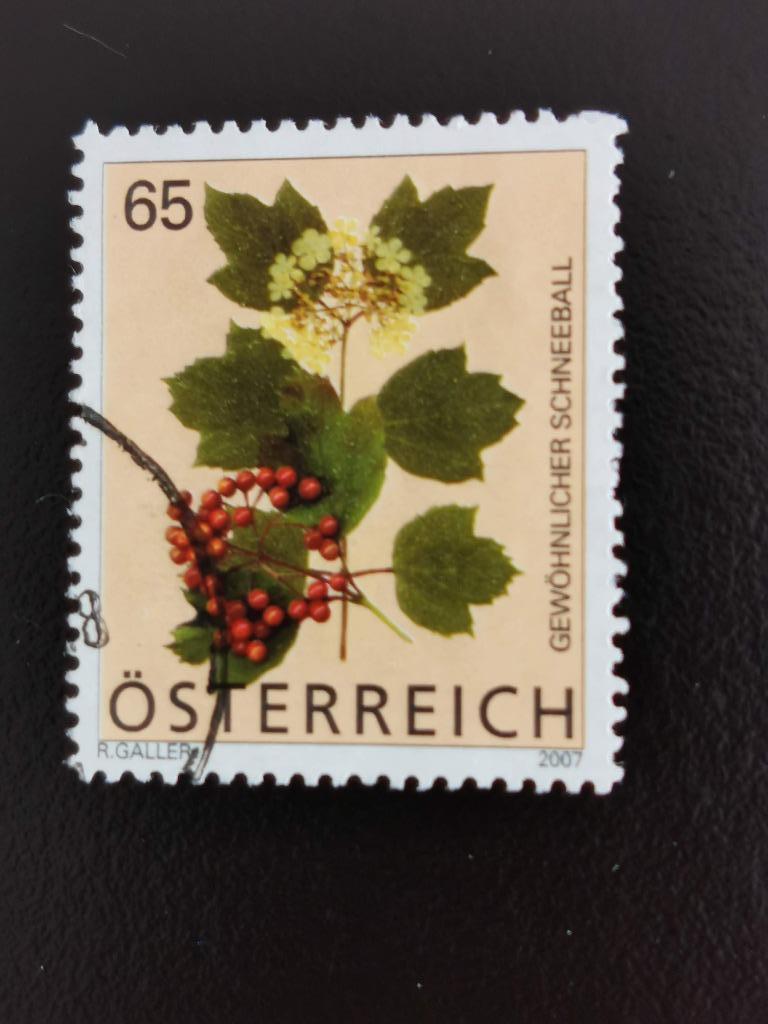 Oostenrijk 2007 - bloemen - sneeuwbal - Viburnum, Ophalen of Verzenden, Gestempeld