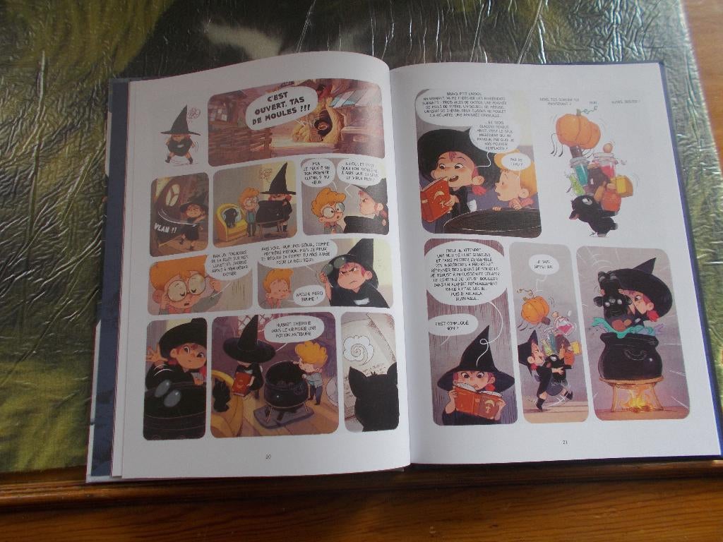Brume Carine Hinder Jérome Pelissier, Ophalen, Eén stripboek, Nieuw, Jerome PELISSIER