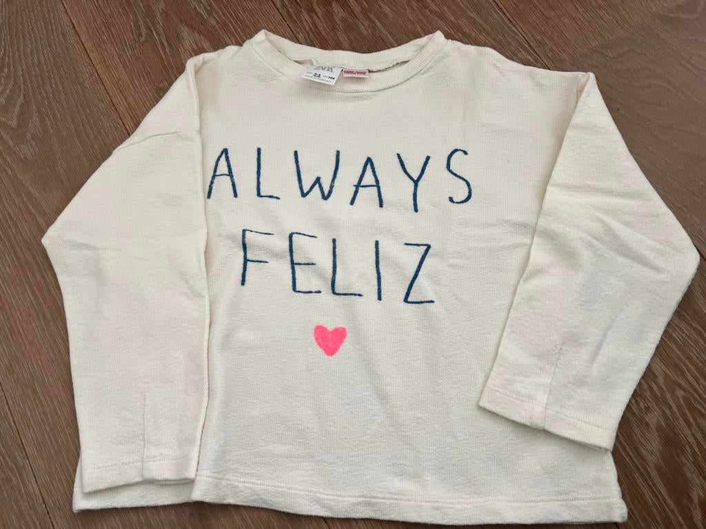 T shirt lange mouw Meisjes maat 104, Kinderen en Baby's, Meisje, Ophalen of Verzenden, Zo goed als nieuw, Zara