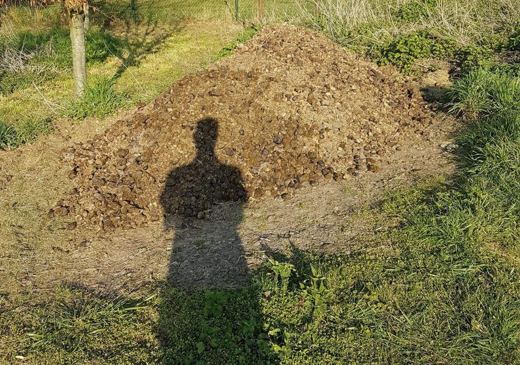 Zuivere paardenmest zonder stro geen afspraak nodig Borsbeek, Ophalen, Mest