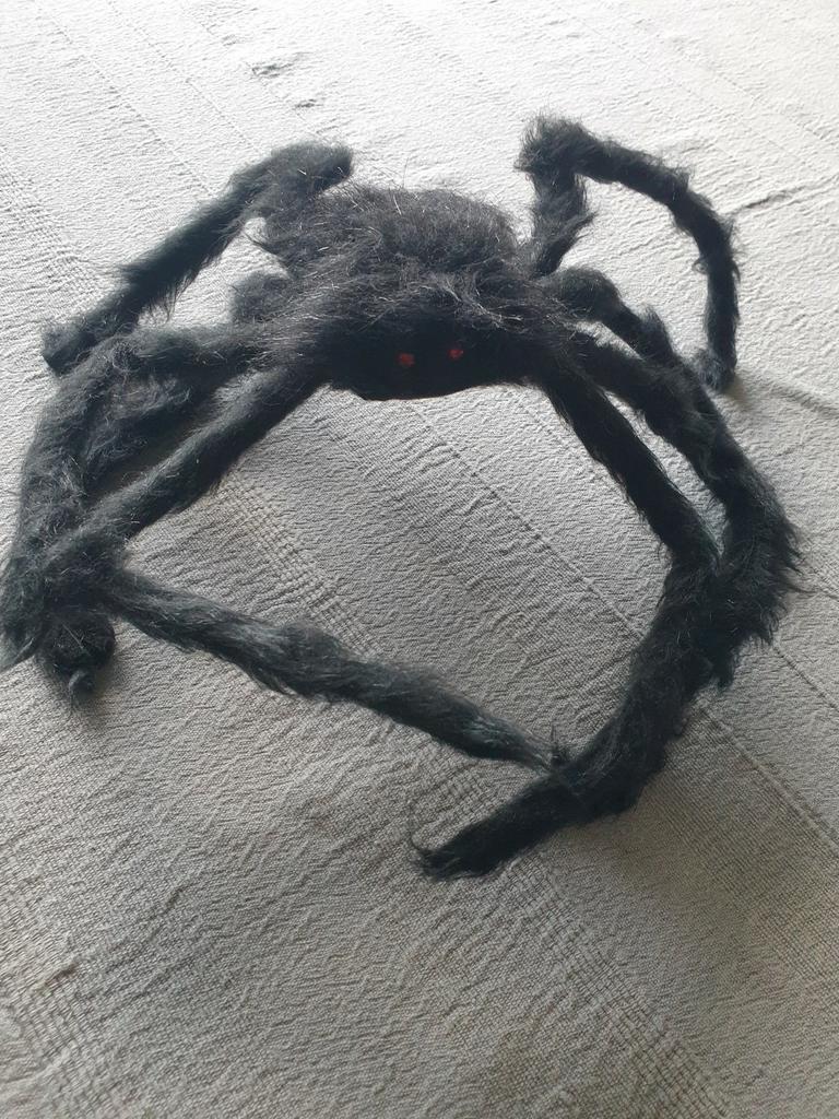 Araignée d'Halloween, Enlèvement