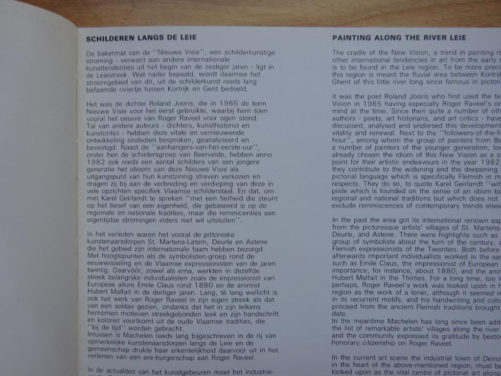 Richard Simoens, Agnes Maes, Antoon De Clerck, Dan. Debruyne, Boeken, Ophalen of Verzenden, Nieuw, Schilder- en Tekenkunst