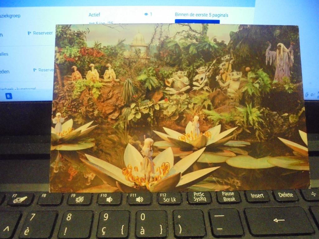 kaart 'de indische waterlelies' van K.Fabiola, Ophalen of Verzenden, Zo goed als nieuw, Kaart, Foto of Prent