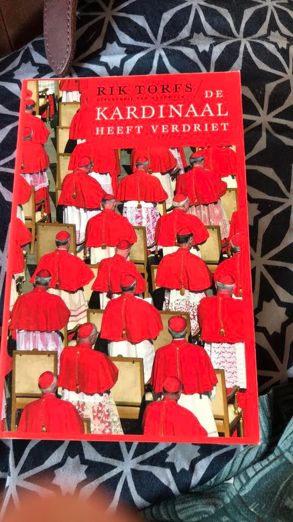 R. Torfs - De kardinaal heeft verdriet, Boeken, Ophalen, Zo goed als nieuw, R. Torfs