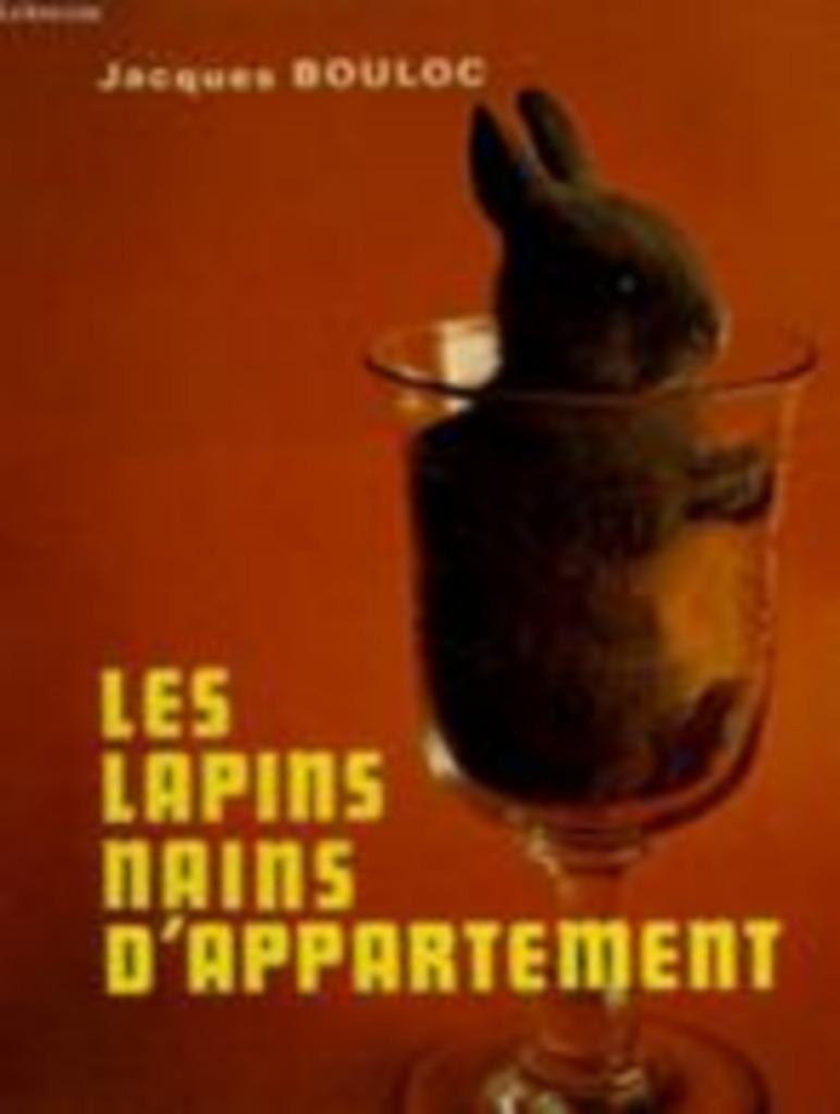 les lapins nains, Enlèvement, Neuf, Lapins ou Rongeurs