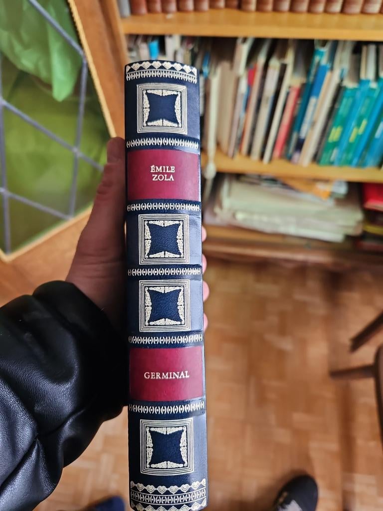De volledige collectie van Émile Zola — Les Rougon-Macquart, Boeken, Literatuur, Zo goed als nieuw, Ophalen