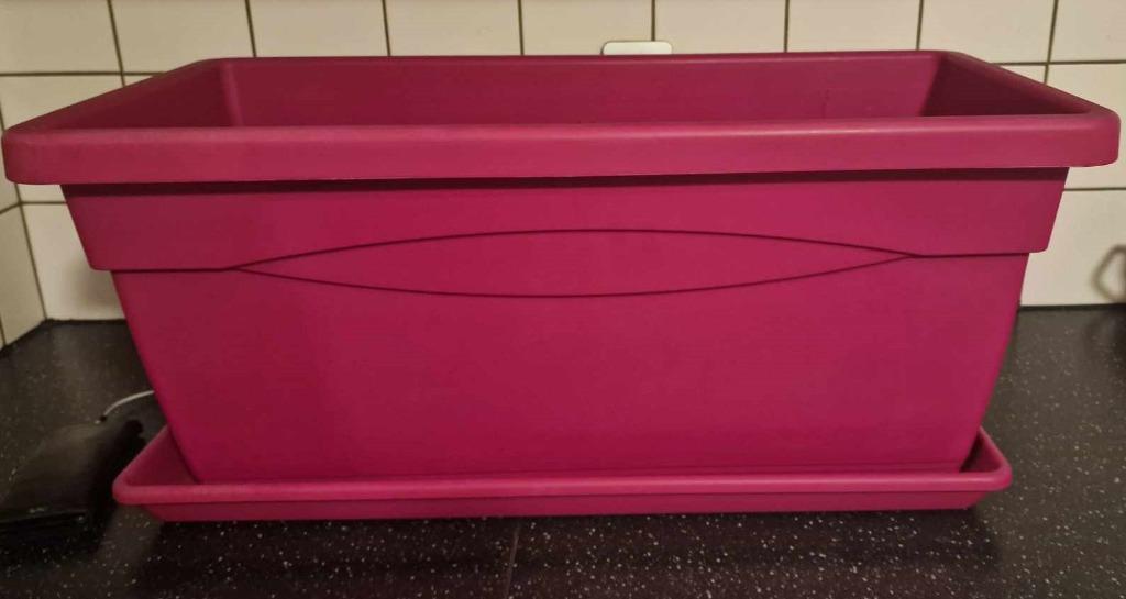 Grote roze bloembak voor buiten met schaal, Tuin en Terras, Bloembakken en Plantenbakken, Ophalen, Zo goed als nieuw, Balkon, 60 tot 100 cm