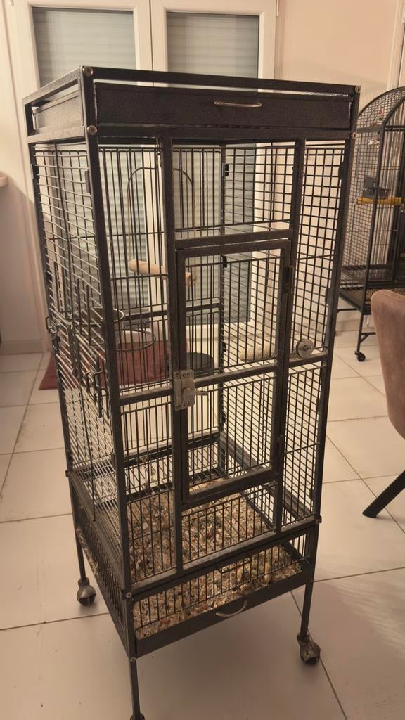 Petite cage a oiseaux, Animaux & Accessoires, Enlèvement, Utilisé, Aluminium, Cage à oiseaux