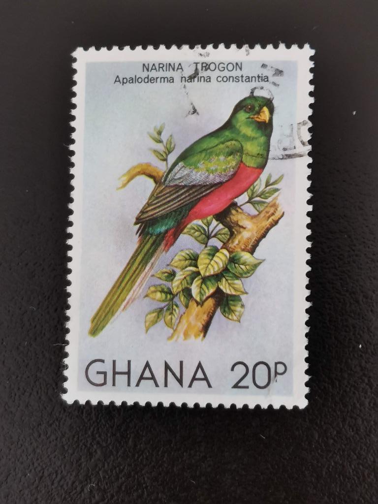 Ghana 1981 - vogels, Ophalen of Verzenden, Gestempeld, Dier of Natuur
