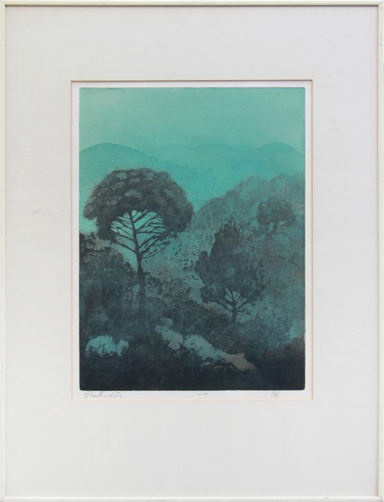 Kleurets ‘schemer in de provence’ van Willy Belinfante, Antiek en Kunst, Kunst | Etsen en Gravures, Verzenden