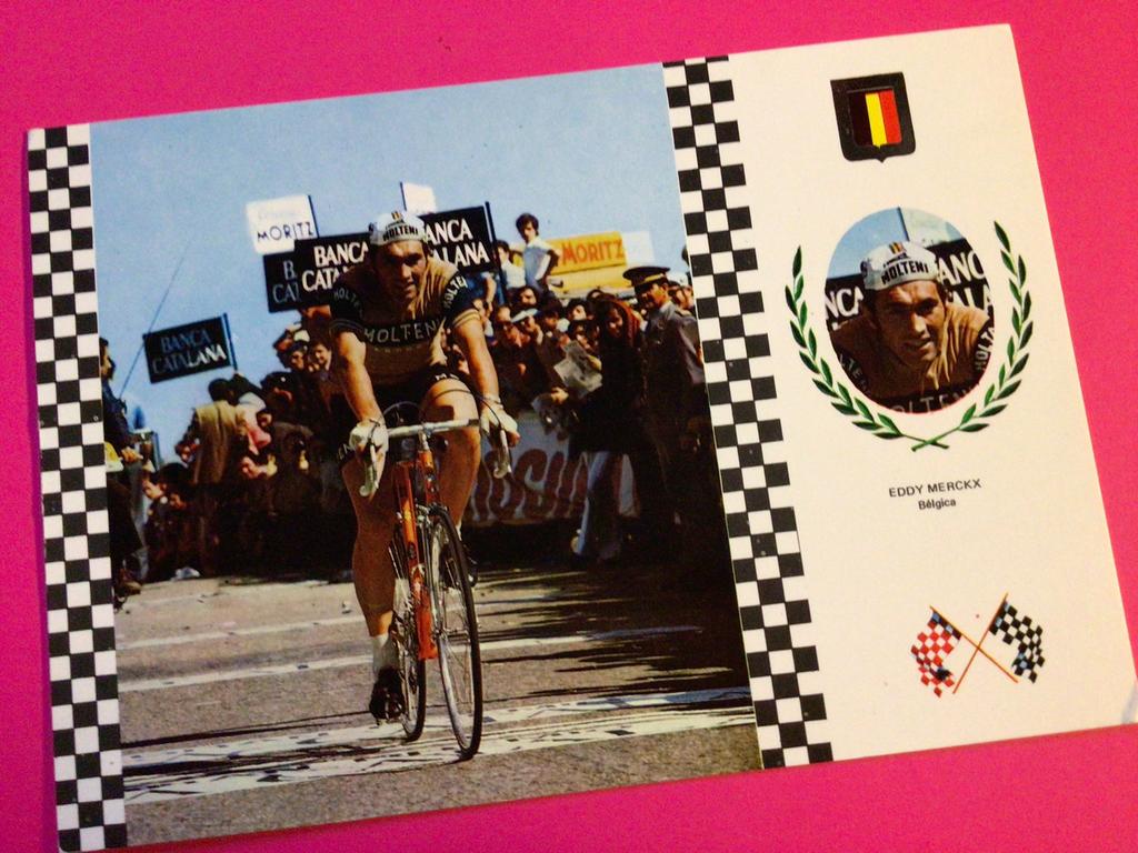 wielerkaart 1974 team molteni eddy merckx, Ophalen of Verzenden, Zo goed als nieuw