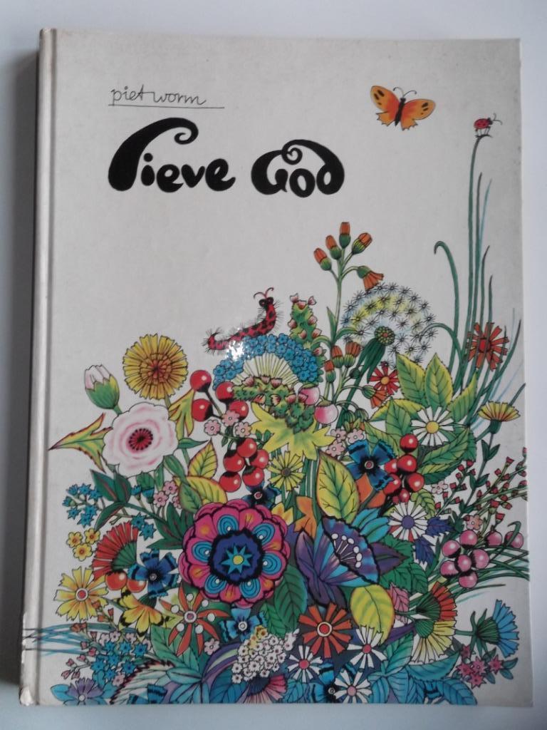 Lieve God, Livres, Religion & Théologie, Enlèvement ou Envoi, Utilisé, Christianisme | Catholique